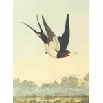 Pasărea hambar înghiţi un vector de peisaj de natura desen