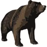 Vector image of huge brown bear
