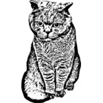 Vektor, die Zeichnung der großen Augen Katze