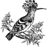 Ilustración de aves exóticas