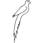 Bird image