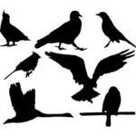 पक्षी silhouettes वेक्टर ग्राफिक्स के पैक