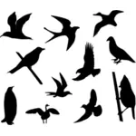 Burung silhouette vector gambar