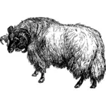 Силуэт овец