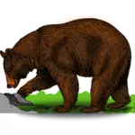 Ours coloré sur une illustration de vecteur à pied