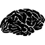Brain silhouette