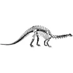Scheletro brontosauro