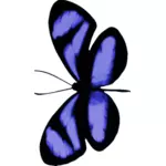 Niebieskawy motyl