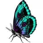 Mariposa de muchos colores