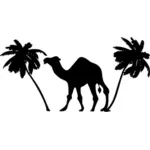 Chameaux et palmiers