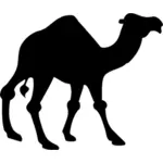 Camel svart vektor silhuett
