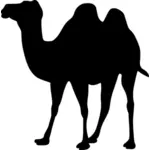 Silhueta vector camelo