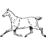 Cavallo di galoppo