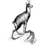 Illustration vectorielle d'antilope sur un rocher