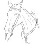 Vector illustration of horse head with lead