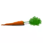 Immagine vettoriale di carota