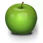 Fotorealistisk grönt äpple vektor