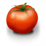 صورة متجه الطماطم