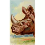 Immagine di rinoceronte indiano