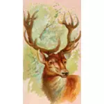 Stag image