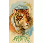 Tiger's head image