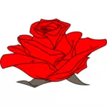 Färgade Rose
