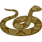 Imagen de serpiente Copperhead
