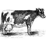 Vector miniaturi de albire vaca