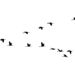 Pássaros voando em formação