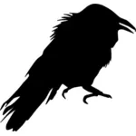Crow vektor gambar
