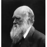 Charles Darwin en noir et blanc