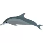 Dolphin's profile