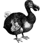 Dessin du dodo