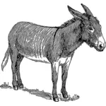 Ilustración de burro