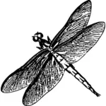 Ícone de libélula