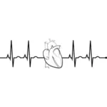 Realistické srdce EKG