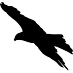 Silhueta de águia negra