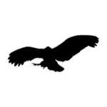 Battant silhouette vecteur eagle