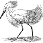 Egret kävely