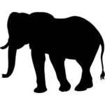 Silhouette éléphant lissée