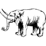 Bilden av elefant med lubb
