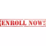 Vector image of enroll now stamp