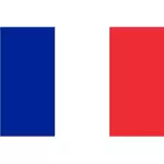 Французский флаг вектор