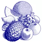Różne owoce ilustracja