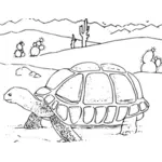 绿海龟在沙漠着色书矢量绘图