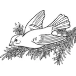 Vector drawing of willow goldfinch bird