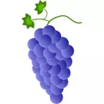 Violetit viinirypäleet