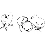 Vector clip art of chicks hatching