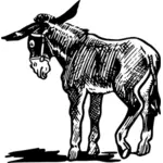 Illustration vectorielle âne