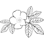 Vector image of line art rose in black and white